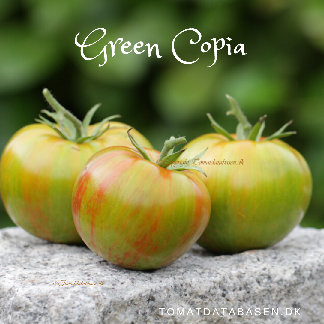 Green Copia